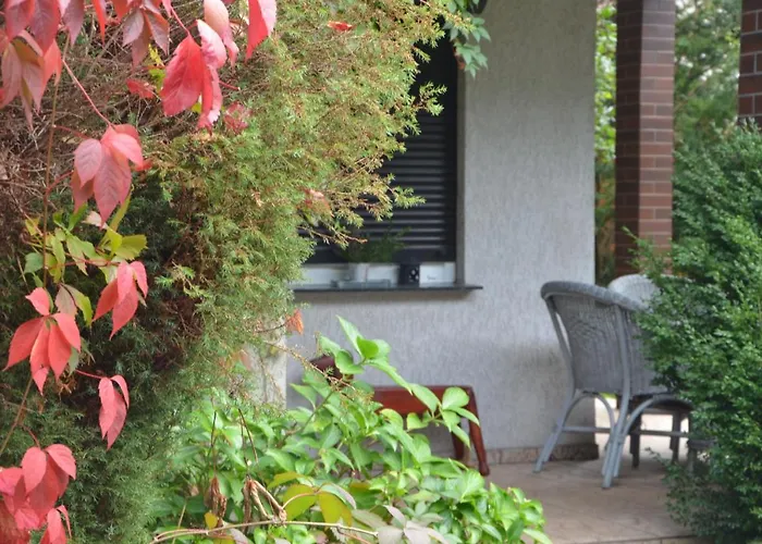 Nasze Morze * Копалино