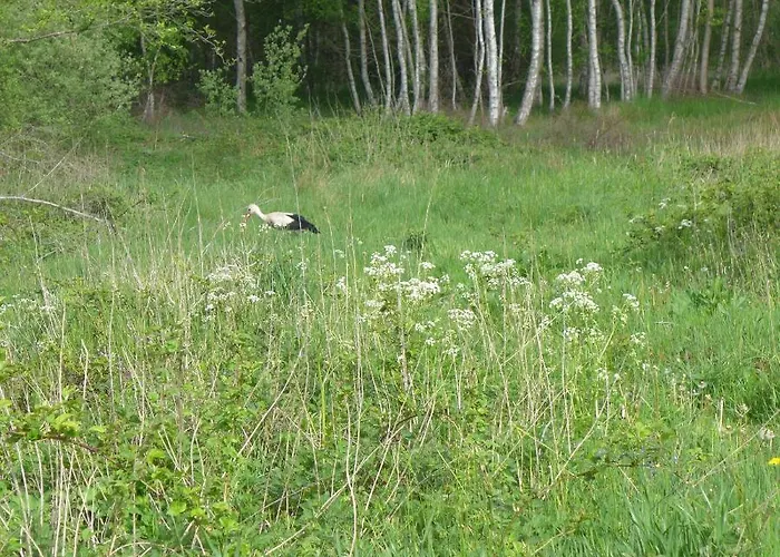 Nasze Morze Дом отдыха Копалино