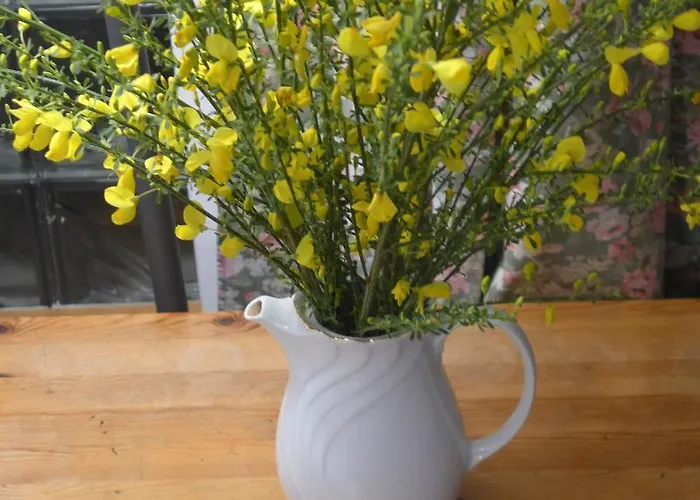 Дом отдыха Nasze Morze